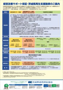 Pamphlet